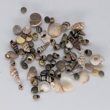 Load image into Gallery viewer, Design Your Own Clear Sensory Toy
