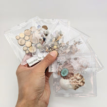 Load image into Gallery viewer, Clear Sensory Toy 5-Set of Natural Materials
